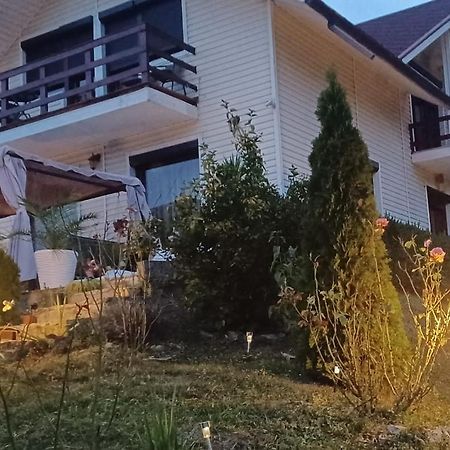 Villa Casa Irina Piatra Neamţ Exterior foto