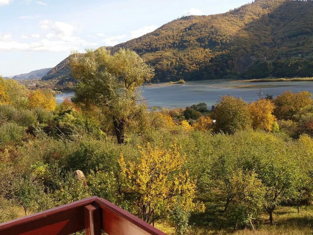 Villa Casa Irina Piatra Neamţ Exterior foto