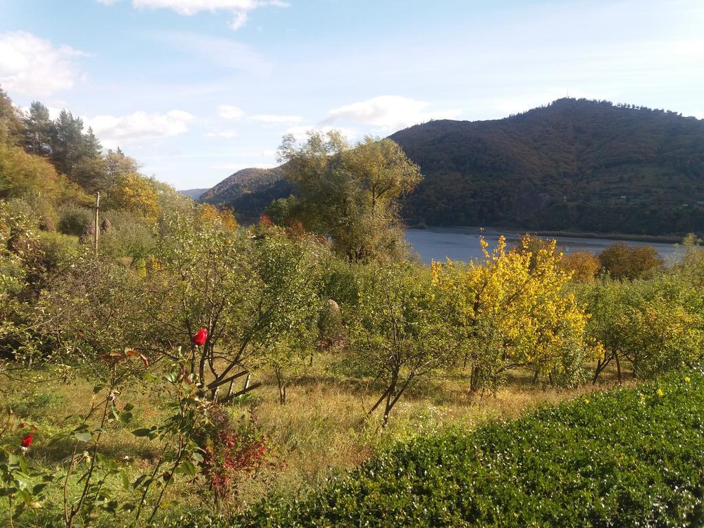 Villa Casa Irina Piatra Neamţ Exterior foto