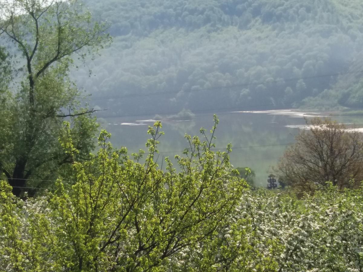 Villa Casa Irina Piatra Neamţ Exterior foto